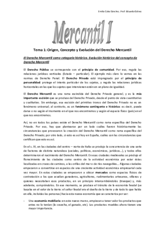 Mercantil I - 1º.pdf