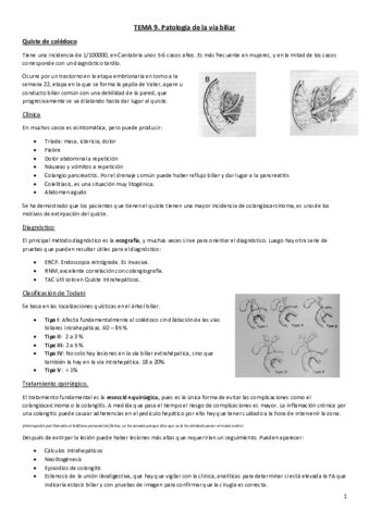 Tema 9. Patología de la vía biliar..pdf