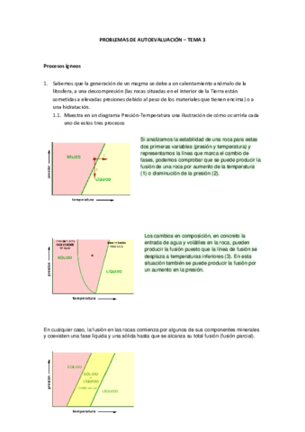 Problemas de autoevaluación Tema 3 (4).pdf