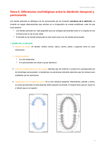 Tema 5.pdf