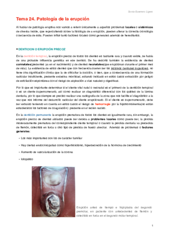 Tema 24.pdf