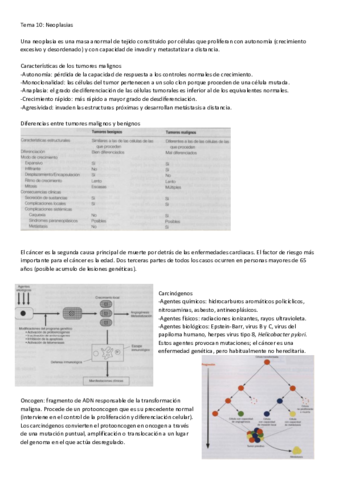 T10-20.pdf