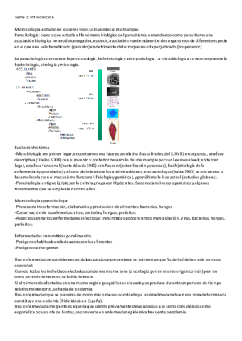 T1-12.pdf