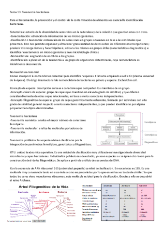 T13-24.pdf