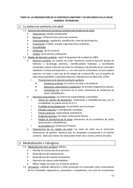 TEMA 19.pdf
