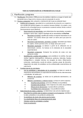 TEMA 20.pdf