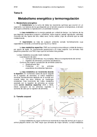 Tema 5.pdf
