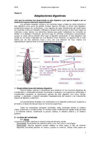 Tema 4.pdf