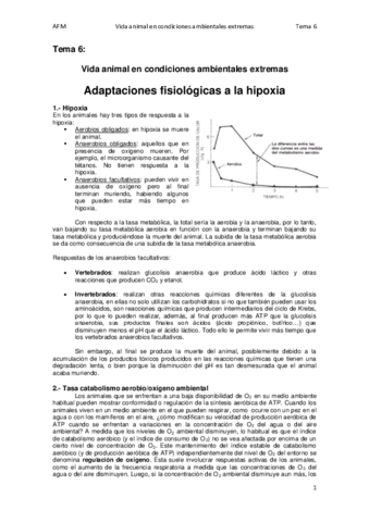 Tema 6.pdf