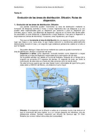 Tema 4.pdf