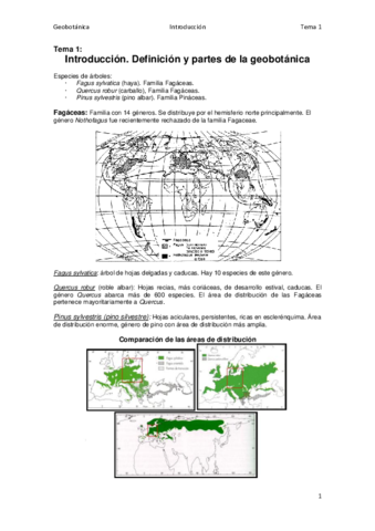 Tema 1.pdf