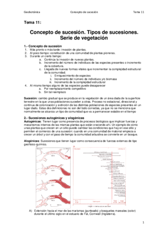 Tema 11.pdf