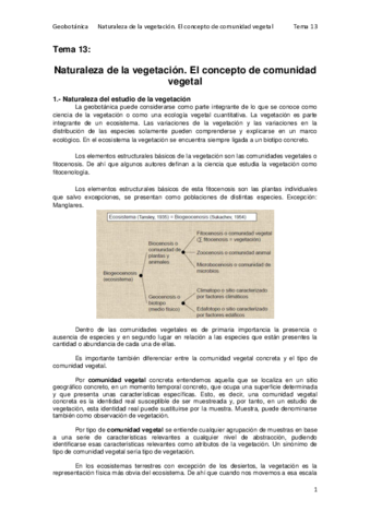 Tema 13.pdf