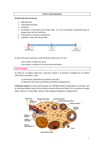 Tema 3. El ciclo menstrual.pdf
