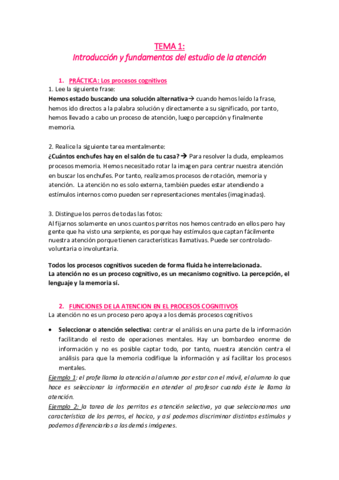 TEMA 1.pdf