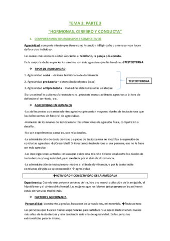 TEMA 3 PARTE 3.pdf