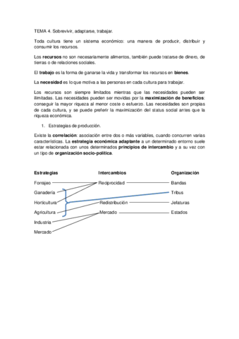 Tema 4.pdf