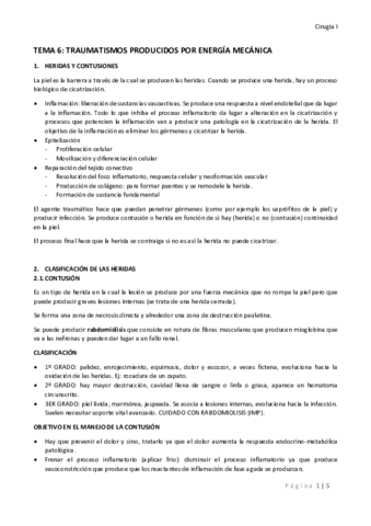 TEMA 6 TRAUMATISMOS PRODUCIDOS POR ENERGÍA MECÁNICA.pdf