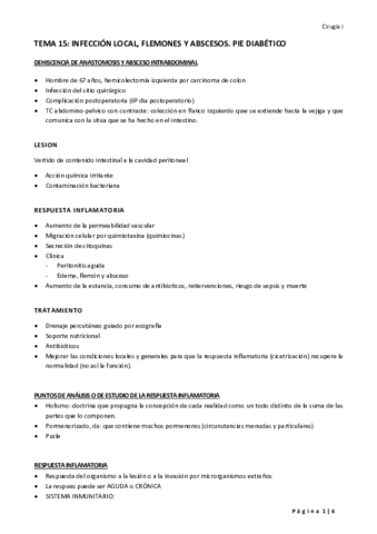 TEMA 15 INFECCION LOCAL ABSCESOS FLEMONES. PIE DIABETICO.pdf