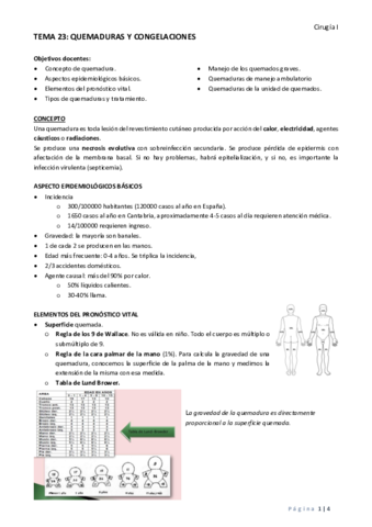 TEMA 23 QUEMADURAS Y CONGELACIONES.pdf