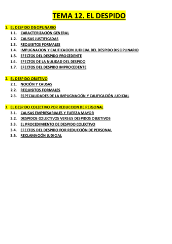 TEMA 12 Dº DEL TRABAJO 2.pdf