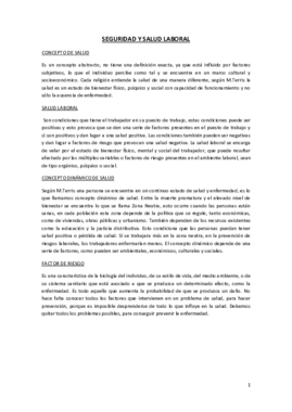 TEORIA SEGURIDAD Y SALUD.pdf