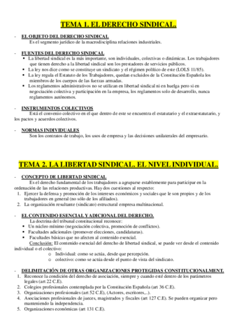 DERECHO SINDICAL.pdf