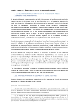 TEMA 1.DT.pdf
