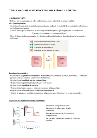 T9. Riñones.pdf