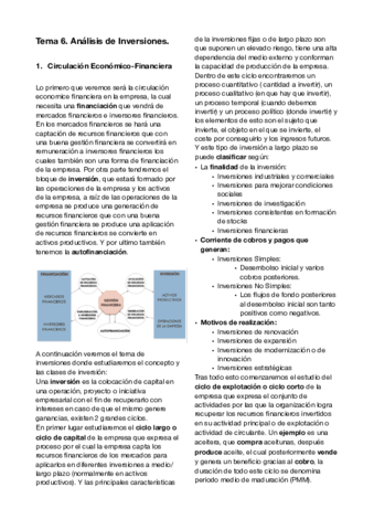 Tema 6. Analisis de inversiones (Apuntes).pdf