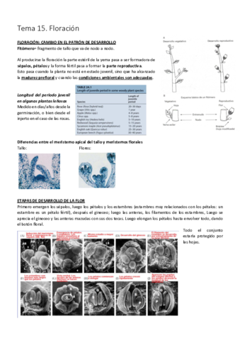 Tema 15. Floración.pdf