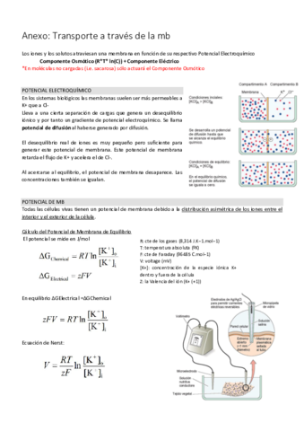 Transporte a través de la mb.pdf