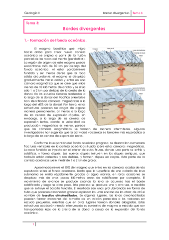 Tema 3. Bordes divergentes.pdf
