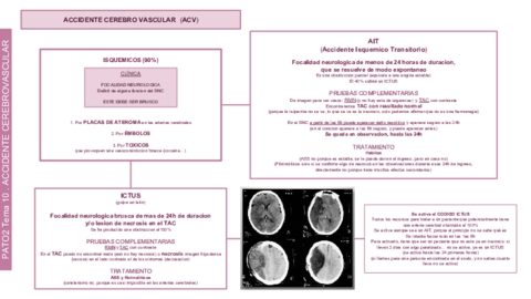 Cerebro Vascular.pdf