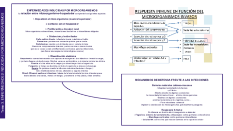 SEMIO-Tema-3-Enferm-Infecciosas.pdf