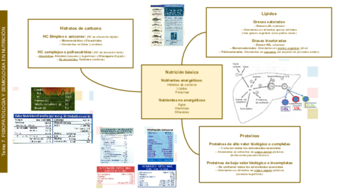 SEMIO-Tema-7-NUTRICION.pdf