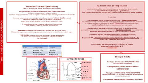 SEMIO Tema 15 Insuficiencia Cardiaca.pdf