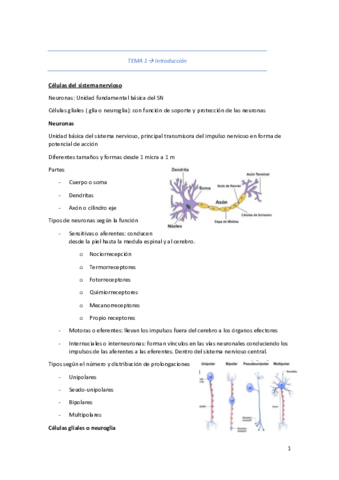 TEMA 1- introduccion.pdf