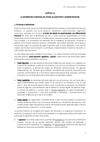 Ciencia política - tema 13.pdf