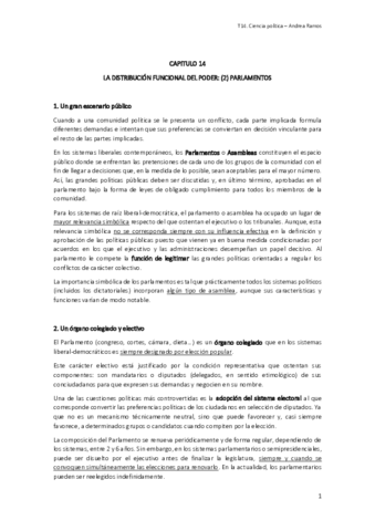 Ciencia política - tema 14.pdf