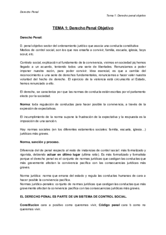 Derecho Penal - Tema 1 Derecho Penal Objetivo.pdf