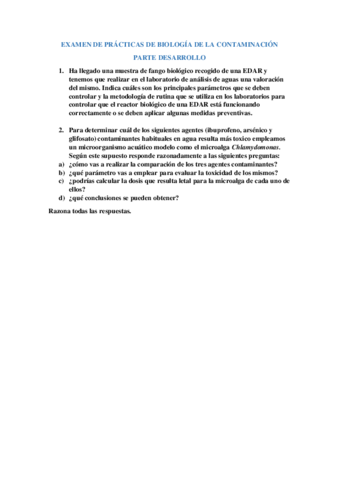 Examen prácticas contaminación DESARROLLO.pdf
