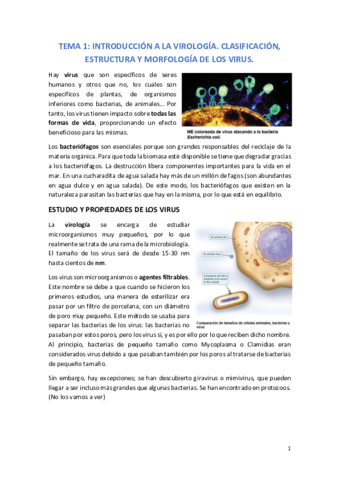 TEMA 1.pdf