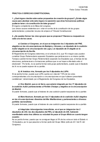 practica 5 CONSTI.pdf
