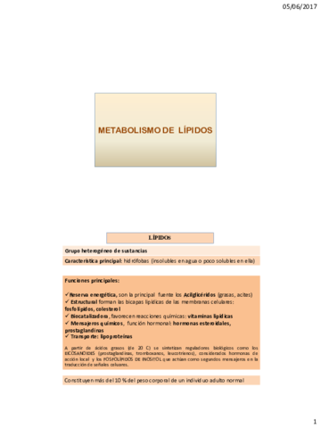 quimica - metabolismo de lipidos.pdf