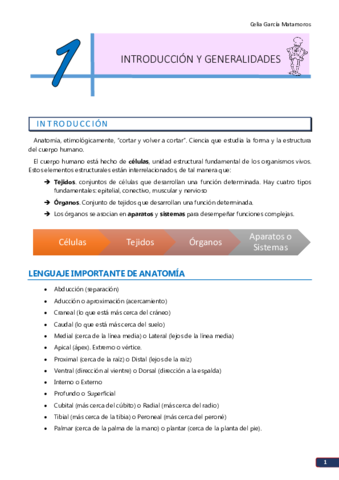 TEMA 1. Introducción.pdf