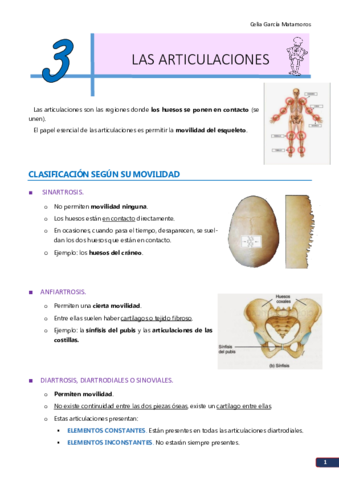 TEMA 3. Las articulaciones.pdf