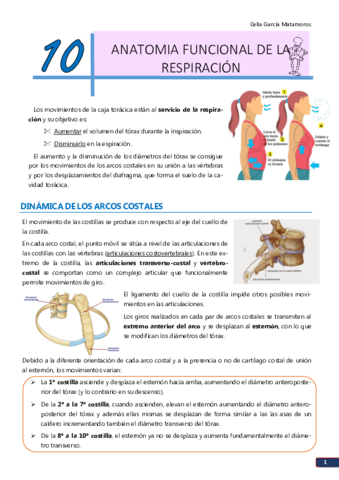 TEMA 10. Anatomía funcional de la respiración.pdf