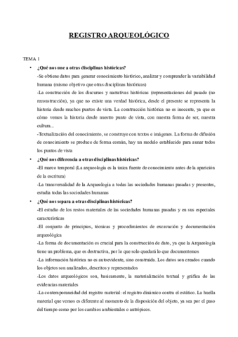 Registro arqueológico.pdf