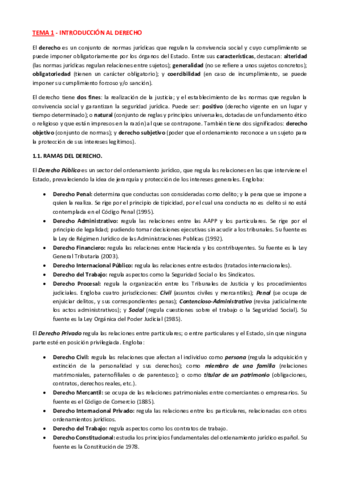 Temas Resumidos Derecho Patrimonial.pdf